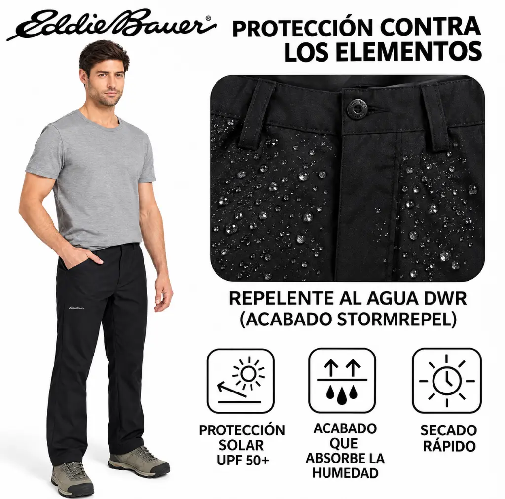 e3afee2c-45bb-4085-a16f-f7a4e22c6988.webp